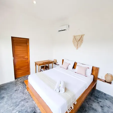 Turtle House Surf & Stay